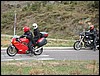 IMG_2762.JPG