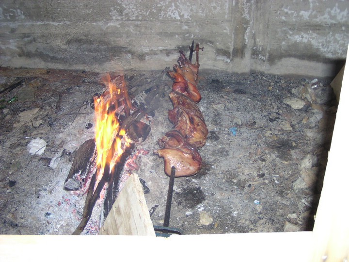 P1010034.JPG
