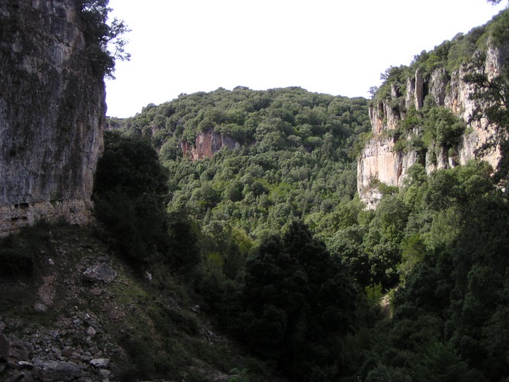 P1010075.JPG