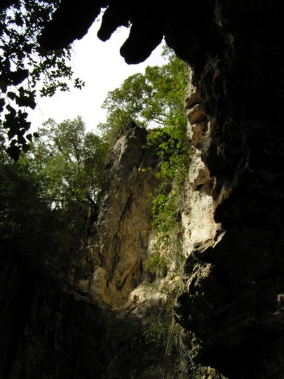 P1010079.JPG