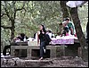 P1010027.JPG