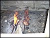 P1010034.JPG